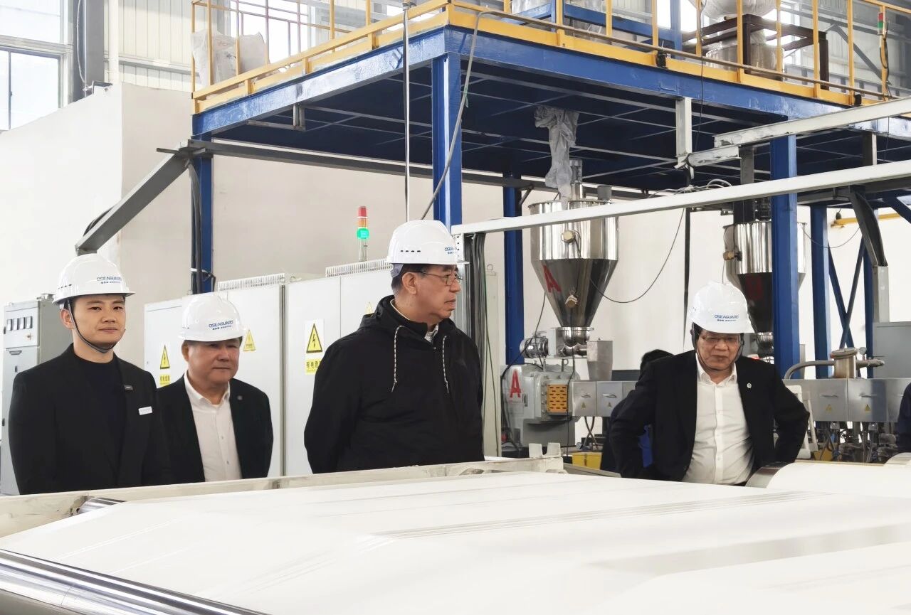 Tres expertos realizan inspecciones in situ y brindan orientaci&oacute;n en el taller de producci&oacute;n1